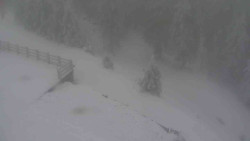 Přístup na běžeckou trať