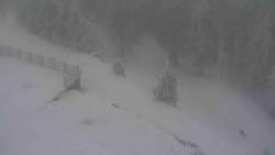 Přístup na běžeckou trať