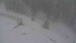 Přístup na běžeckou trať