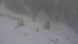 Přístup na běžeckou trať