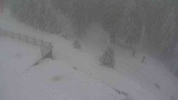 Přístup na běžeckou trať