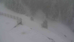 Přístup na běžeckou trať