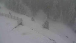 Přístup na běžeckou trať