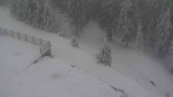 Přístup na běžeckou trať