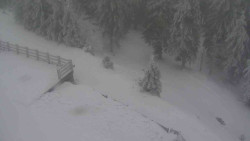 Přístup na běžeckou trať