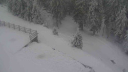 Přístup na běžeckou trať