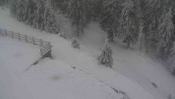 Přístup na běžeckou trať