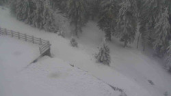 Přístup na běžeckou trať