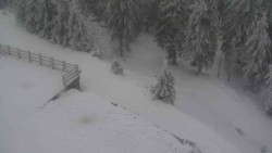 Přístup na běžeckou trať