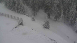 Přístup na běžeckou trať