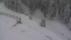 Přístup na běžeckou trať