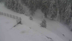 Přístup na běžeckou trať