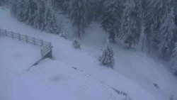 Přístup na běžeckou trať