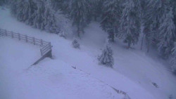 Přístup na běžeckou trať