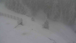 Přístup na běžeckou trať