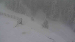 Přístup na běžeckou trať