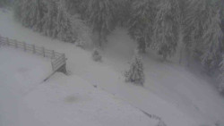 Přístup na běžeckou trať