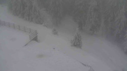 Přístup na běžeckou trať