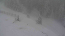 Přístup na běžeckou trať