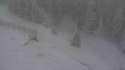 Přístup na běžeckou trať