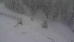 Přístup na běžeckou trať