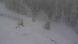 Přístup na běžeckou trať