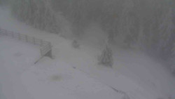 Přístup na běžeckou trať