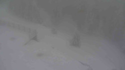 Přístup na běžeckou trať