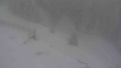 Přístup na běžeckou trať