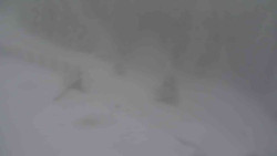 Přístup na běžeckou trať