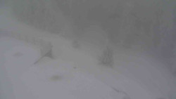 Přístup na běžeckou trať