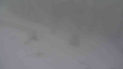 Přístup na běžeckou trať