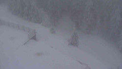 Přístup na běžeckou trať