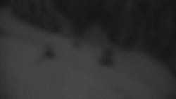 Přístup na běžeckou trať