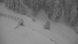 Přístup na běžeckou trať