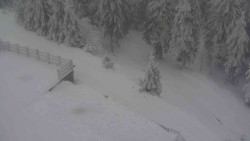 Přístup na běžeckou trať