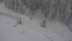 Přístup na běžeckou trať