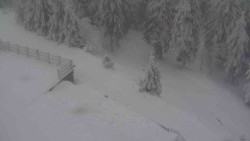 Přístup na běžeckou trať