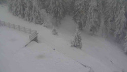 Přístup na běžeckou trať