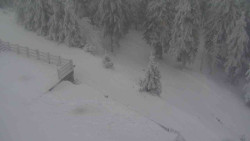 Přístup na běžeckou trať