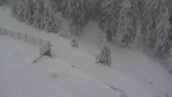 Přístup na běžeckou trať