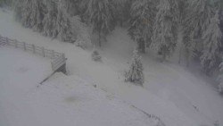 Přístup na běžeckou trať