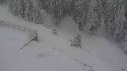 Přístup na běžeckou trať