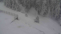 Přístup na běžeckou trať