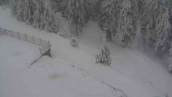 Přístup na běžeckou trať