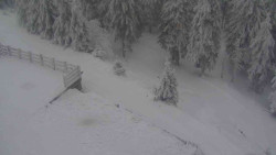 Přístup na běžeckou trať