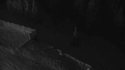 Přístup na běžeckou trať