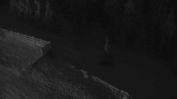 Přístup na běžeckou trať