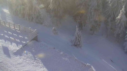 Přístup na běžeckou trať