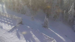 Přístup na běžeckou trať